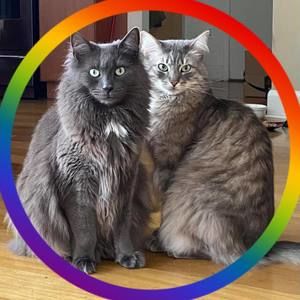 Meet your Posher, Loriann